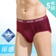 【SHIANEY 席艾妮】5件組 台灣製 涼感紗 男性三角內褲 吸濕排汗 透氣