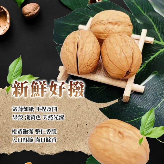 【西域果園】新疆紙皮核桃500g(新疆185紙皮核桃 可手撥殼)