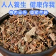 【蔘大王】魚腥草（150gX1）(降火氣/使排便順暢/泡茶入菜/自己煮最安心)