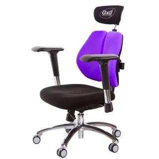 【GXG 吉加吉】雙軸枕 雙背工學椅 4D金屬扶手/鋁合金腳座(TW-2606 LUA7)