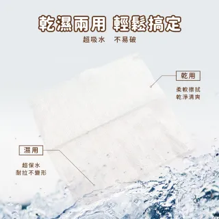 【收納王妃】SNOOPY 史努比 乾濕兩用巾 乾濕洗臉巾 洗臉巾 100抽 網孔(40入/箱)