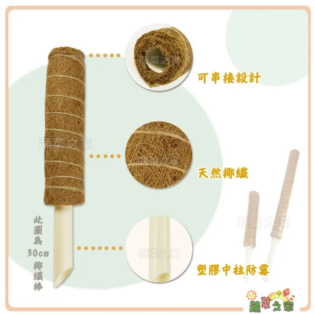 【蔬菜之家】椰纖棒 40公分-可串接式(塑膠中柱防霉.攀爬類植物.水苔棒.椰纖柱.椰棒)