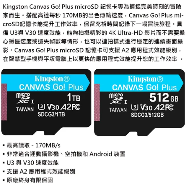 【Kingston 金士頓】1TB microSDXC TF UHS-I U3 V30 A2 記憶卡(SDCG3/1TB 平輸)