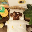 【皇室羽毛工房】荷蘭100%棉被套枕套組-Banana Monkey(單人)