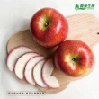 【義美生機】蜜糖蘋果片10g(嚴選優質富士蘋果)
