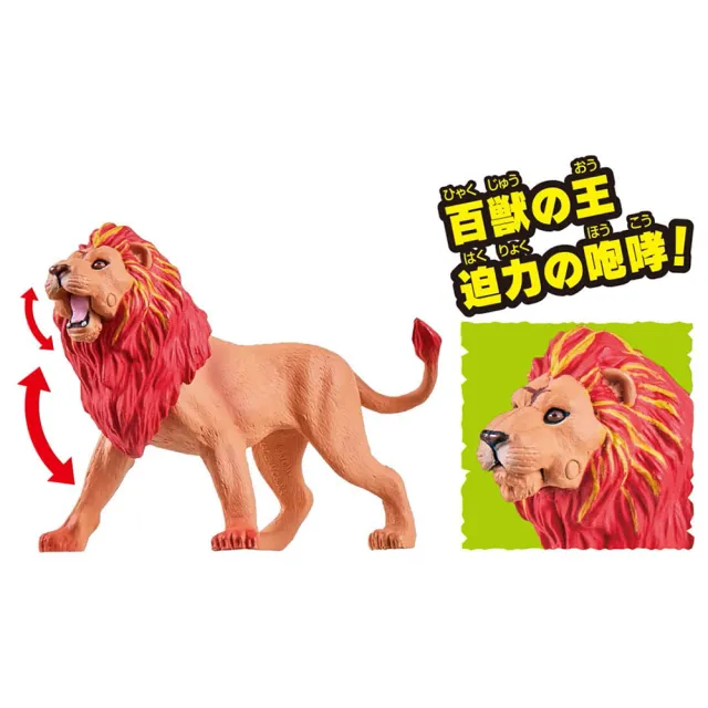 【TAKARA TOMY】ANIA 多美動物 冒險王國 獅子Leonie(男孩 動物模型)
