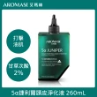 【Aromase 艾瑪絲】頭皮淨化洗髮養護組(頭皮淨化液260mlx1+洗髮精400mlx1+養髮精華液115mlx1)