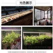 【JIUNPEY 君沛】2入組 T8 2呎12.5W全光譜植物燈管(植物生長燈)