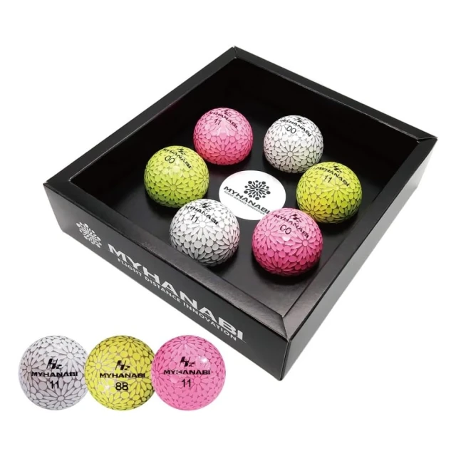 HONMA 本間高爾夫 GOLF BALL NEW D1 兩