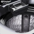 【SHARP 夏普】16公斤抗菌變頻直立式洗衣機(ES-G16AT-S)