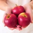 【FruitGo 馥果】紐西蘭Rockit樂淇蘋果360g±10%x3管/盒_每管4顆(3管禮盒_櫻桃蘋果)