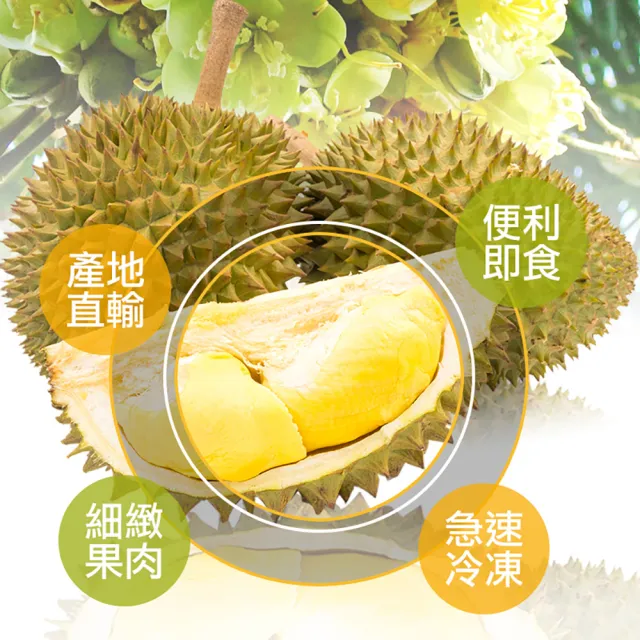 【享吃鮮果】泰國金枕頭榴槤果肉300g±3%x6盒組(泰國鮮凍直送)