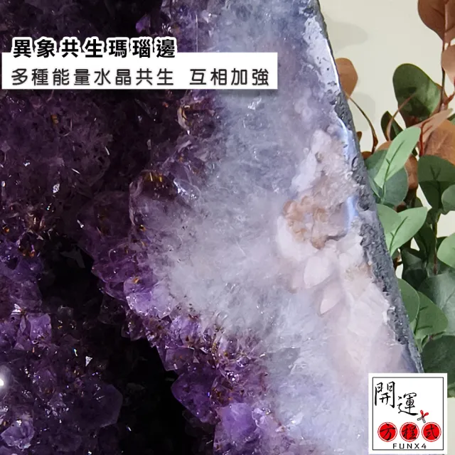 開運方程式】特級紫鈦晶共生紫水晶洞JU404(23.6特殊滿鈦晶共生紫晶洞