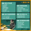 【揚聲堡音樂線上教學】RE: 爵士鼓從零開始 - Jie 曾賀杰 老師(音樂線上課程/實體卡)