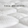 【JENNY SILK 蓁妮絲生活館】日式床墊·天絲纖維·可收納·獨立筒·床墊厚度10公分(單人加大3.5尺)
