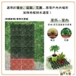 【蔬菜之家】十字腳排水板 排水踏板  50片/袋(珊瑚紅 黑色 灰色 綠色)