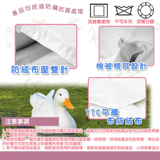 【凱蕾絲帝】台灣製造-7x8尺耐寒5℃羽絨毛被(雙人加大-純天然蓄熱保暖/冬被)
