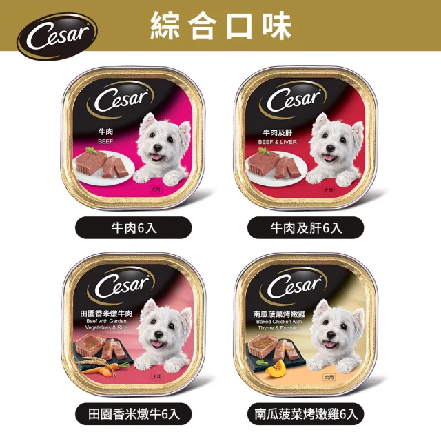 【Cesar 西莎】經典風味餐盒 100g*24入 寵物/狗罐頭/狗食