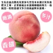 【WANG 蔬果】美國加州水蜜桃8顆x2盒(200g/顆_禮盒組/空運直送)