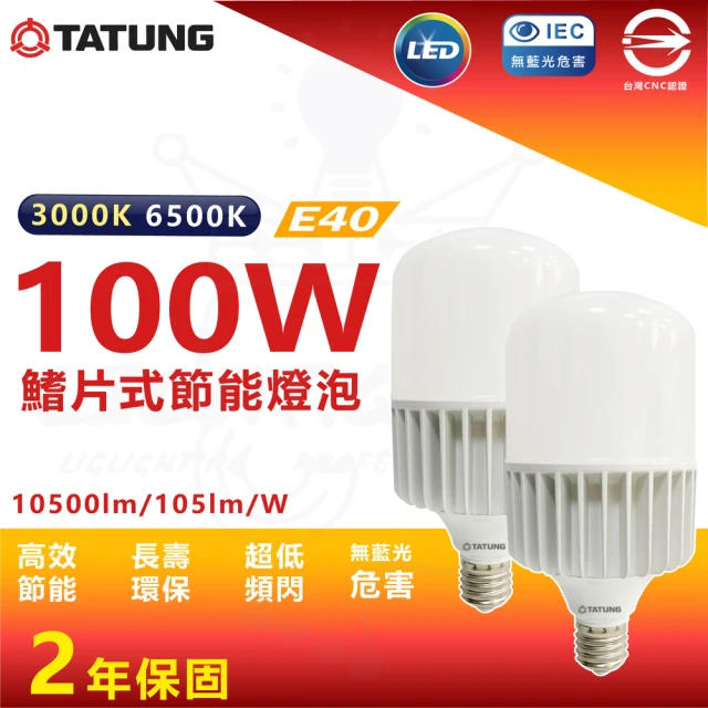 TATUNG 大同TATUNG 大同 單入 100W LED 鰭片式節能燈泡 大瓦數 燈泡(倉庫燈泡 廠房燈泡 工廠適用)