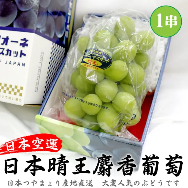 【WANG 蔬果】日本岡山縣晴王麝香葡萄1房禮盒x1盒(600-700g/串)