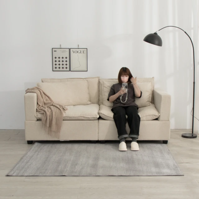 IDEA 皮諾加深雙靠枕舒適雙人沙發/布沙發