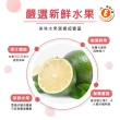 【樂活e棧】繽紛蒟蒻水果冰粽-檸檬口味12顆x2袋(端午 粽子 甜點 全素)
