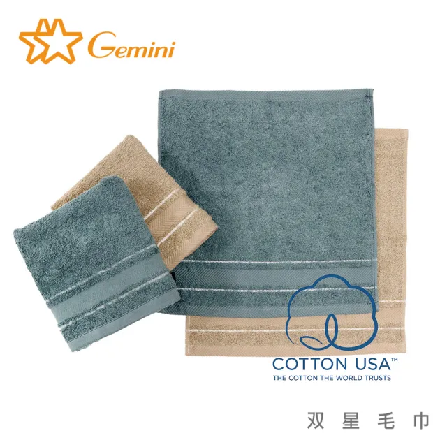 【Gemini 雙星】台灣製美國棉歐式典雅浴巾(超值2入組-2色任選)