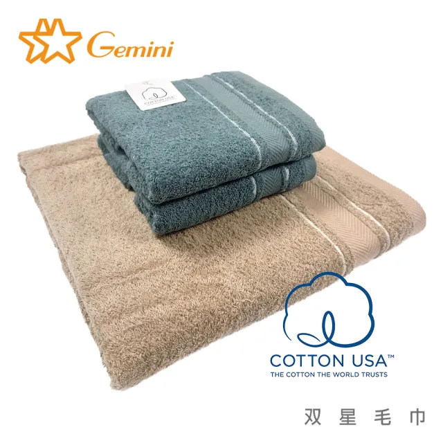 【Gemini 雙星】台灣製美國棉歐式典雅毛巾(超值6入組-2色任選)