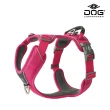 【DOG Copenhagen】Comfort Walk Pro Y型減壓胸背帶-M(防暴衝旗艦款)