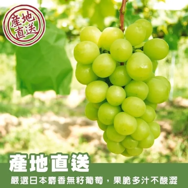 【WANG 蔬果】日本岡山縣晴王無籽麝香葡萄1房x1盒(670-750g/串_禮盒/特大串)無籽葡萄.水果禮盒.三節送禮