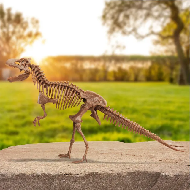 Discovery 恐龍化石挖掘套組-霸王龍立體拼圖