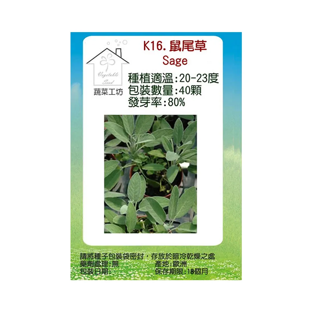 【蔬菜工坊】K16.鼠尾草種子