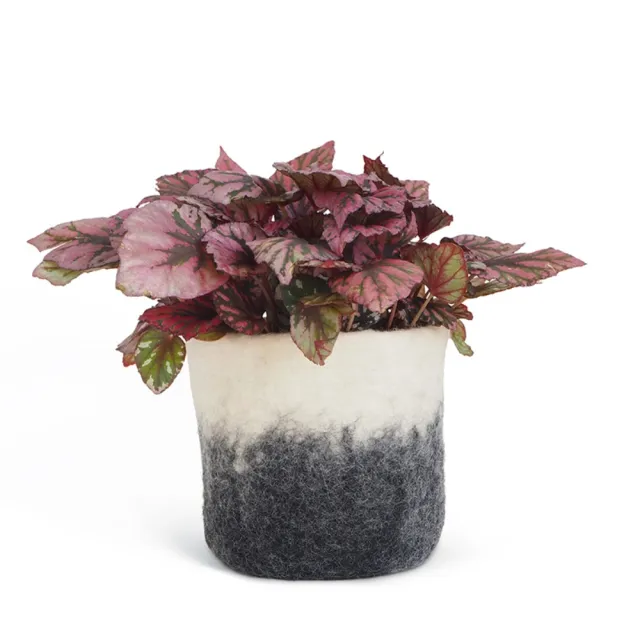 【CNFlower 西恩】Aveva Design瑞典羊毛氈 FLOWER POT 18羊毛氈漸層容器-中(家飾品/容器/盆器/盆栽/花器)