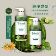 【Timotei 蒂沐蝶】Forest Relief 森林系洗髮精/護髮乳450gx6入組(加贈Pureit 即淨濾水壺2.5L)