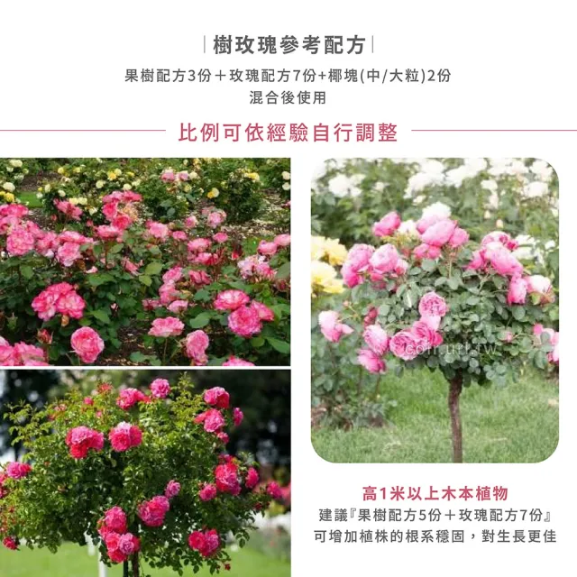 【瘋狂植物社】玫瑰專用栽培土10公升裝(木本育苗、桂花木本花卉栽培)