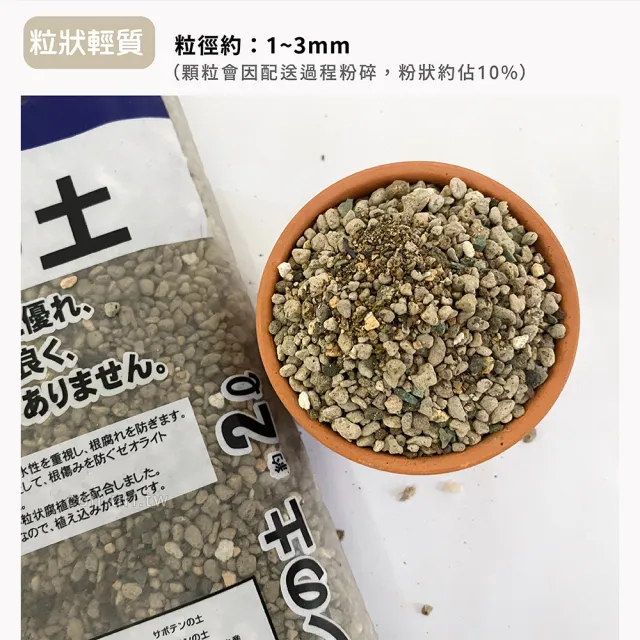 【瘋狂植物社】組合 日本多肉植物專用培養土2公升裝×筒形花土鏟-紫色(粒狀輕質、盆栽萬用鏟)