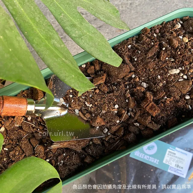 【瘋狂植物社】觀葉植物專用栽培土10公升裝(雨林植物配方、室內培養土)