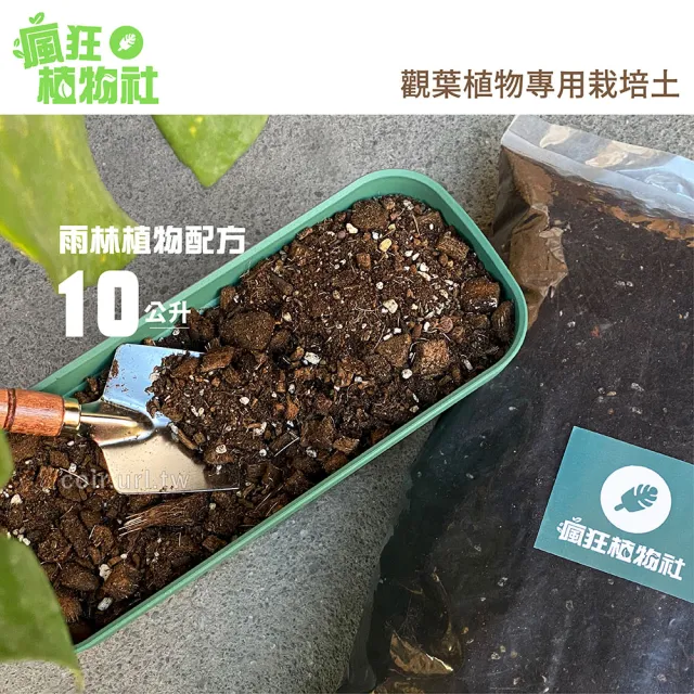 【瘋狂植物社】觀葉植物專用栽培土10公升裝(雨林植物配方、室內培養土)