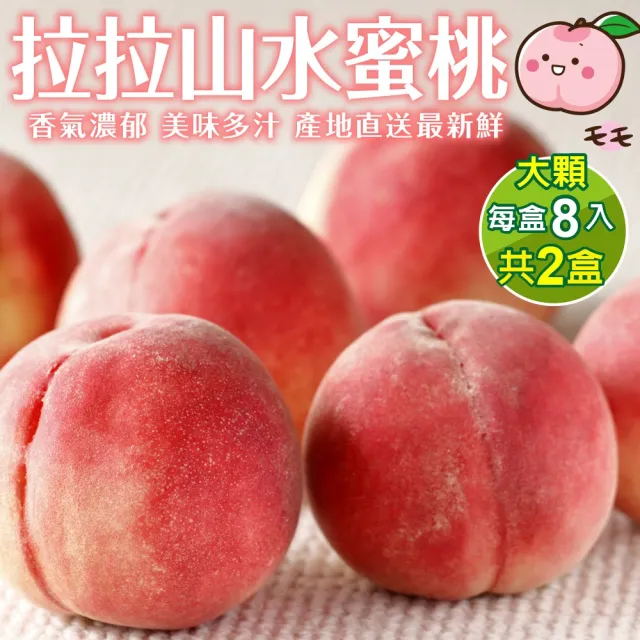 WANG 蔬果】拉拉山水蜜桃8顆x2盒(110-140g/顆) - momo購物網- 好評推薦 