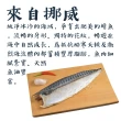 【賣魚的家】正宗極上挪威鯖魚片10片組(140-170g/片)