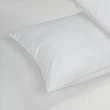 【皇室羽毛工房】Hotel Life 鵝毛枕一對