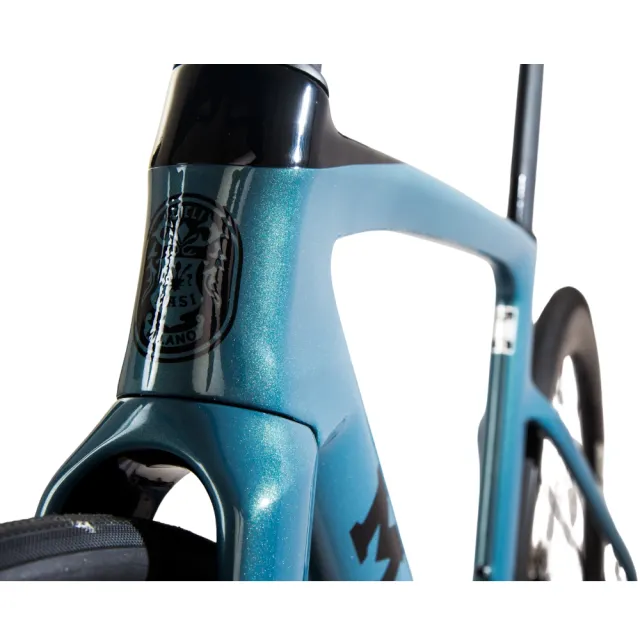 【MASI】Evoluzione碳纖維電變碟煞公路車