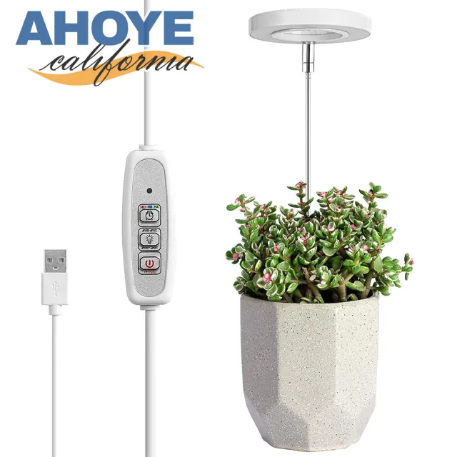 【AHOYE】天使環全光譜植物生長燈 可調光 可定時(植物燈)