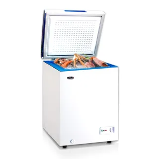 【TAIGA 大河】108L低頻省電家用型上掀臥式冷凍櫃(CB0995)