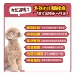 【毛孩時代】心臟專科保健粉x5盒(寵物保健品/貓狗心臟保健品/Q10)