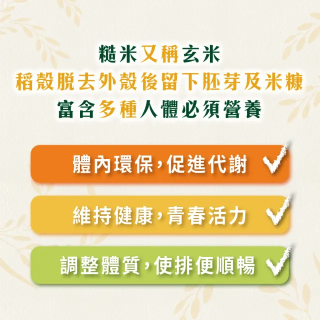 【大漢酵素】糙米蔬果植物醱酵液600ml/瓶-糙米 GABA 助眠 酵素 全素(原廠出貨)