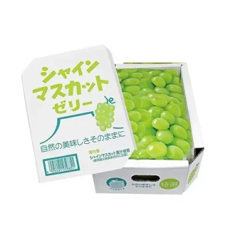 【日本AS】蒟蒻果凍 麝香葡萄風味400g