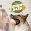【SIEGAL 思高】日本柿味清-柿子潔牙水寵物除口臭噴霧(50ml)