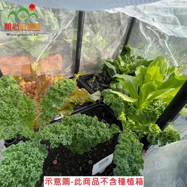 【田園樂】育材四箱防蟲網附接桿*18及拉鍊不含種植箱(90*60種植箱用)